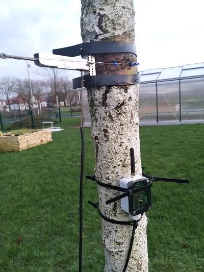  New prototype testing - Small antenna and a Ecomatik DC4 dendrometer