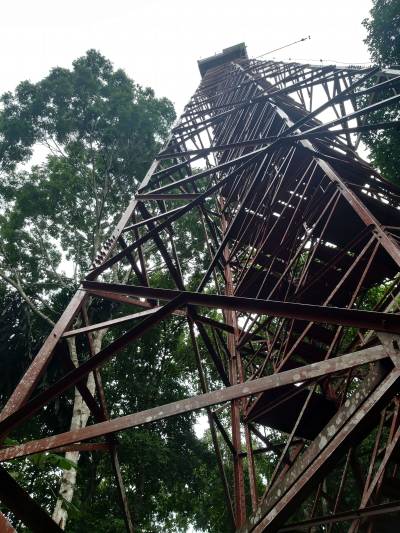 Tambopata Tower