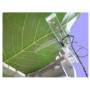 phyto-sensor-lt-1m-leaf-temperature-sensor-web.jpg