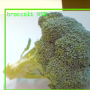 brocoli.png