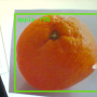 orange_as_apple.png